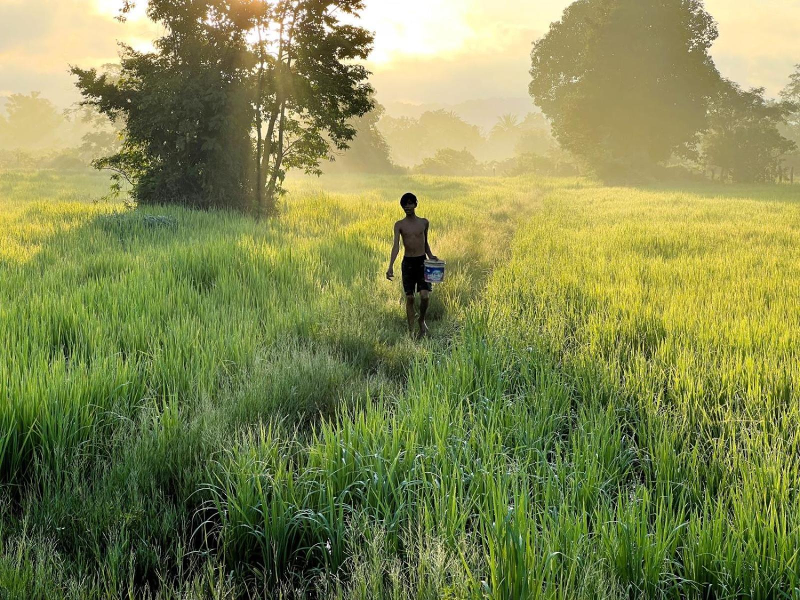 The Little Vegan Homestay Phumi Banteay Srei Εξωτερικό φωτογραφία