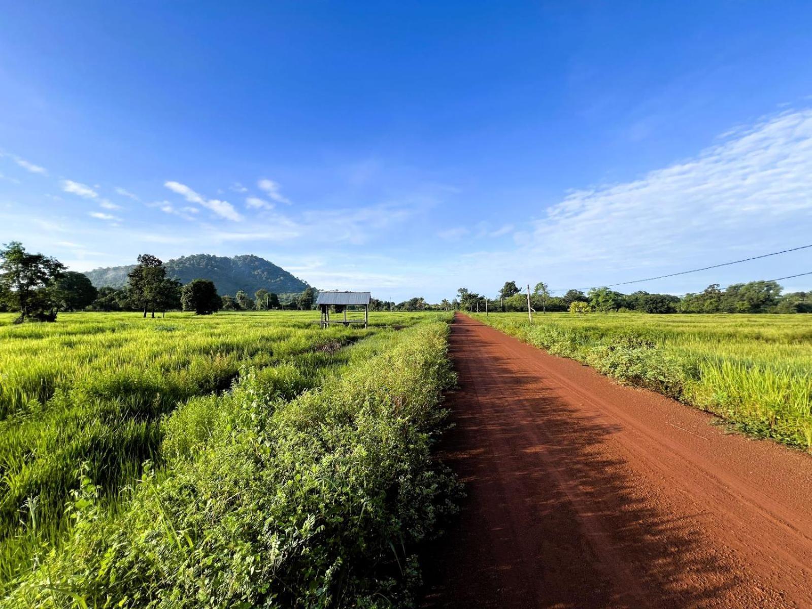 The Little Vegan Homestay Phumi Banteay Srei Εξωτερικό φωτογραφία